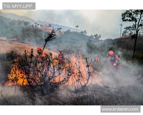 八一队与四川队激战正酣3月10日精彩赛事回顾与分析